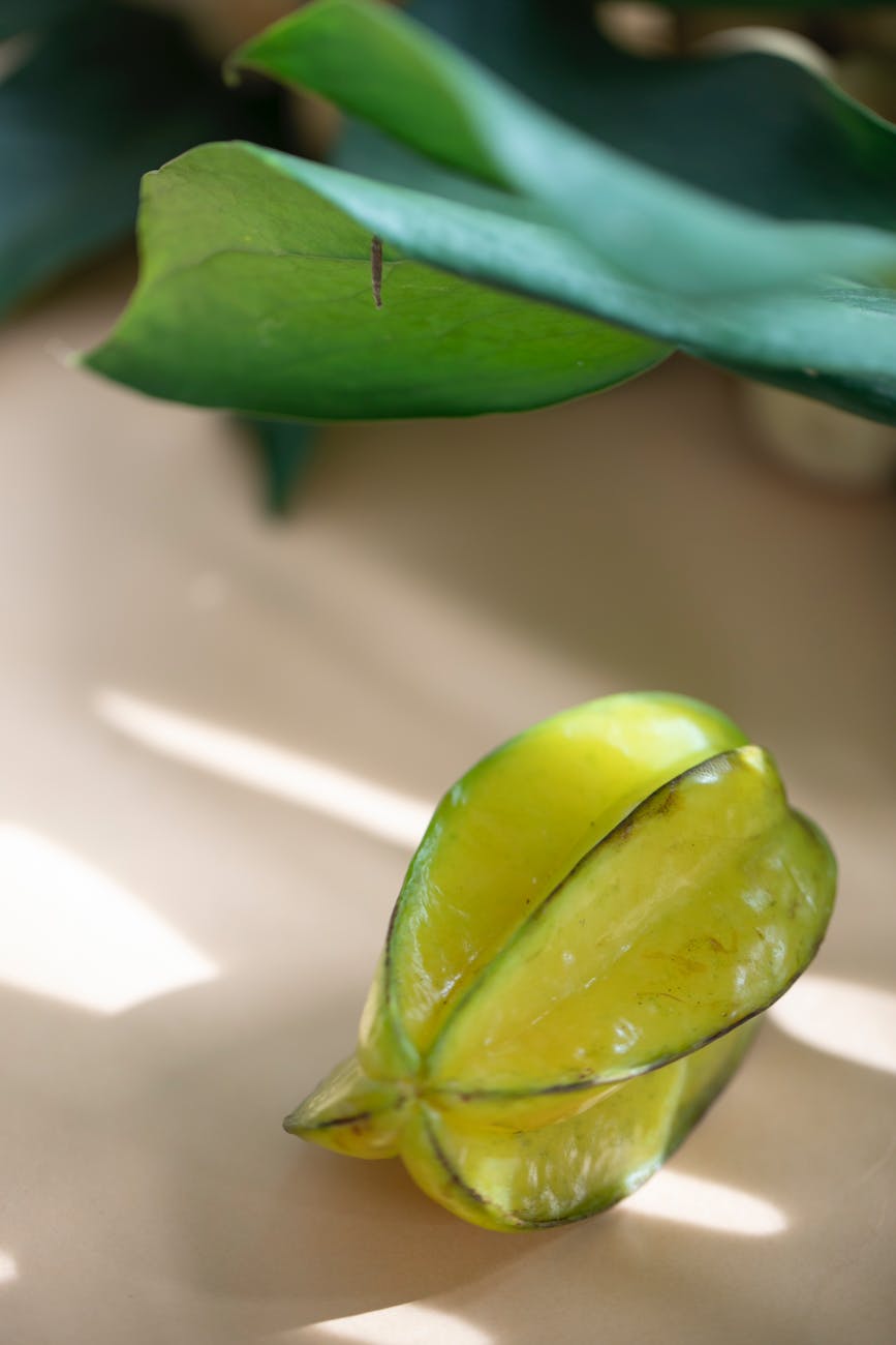 exotic fresh ripe carambola under shadow of green leaf